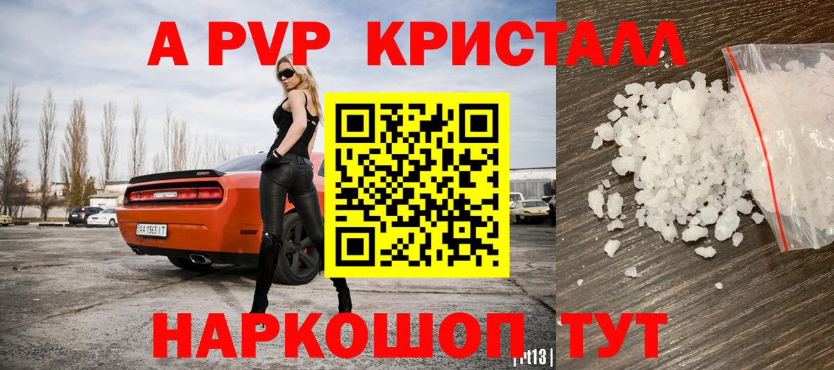 Alfa_PVP СК КРИС Сосновый Бор
