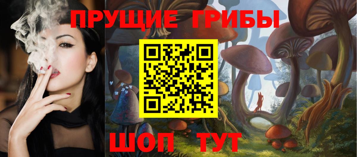 Галлюциногенные грибы прущие грибы Сосновый Бор